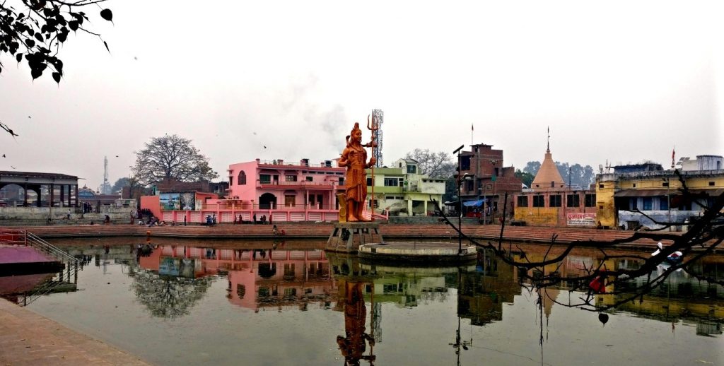 Terai forest landscape